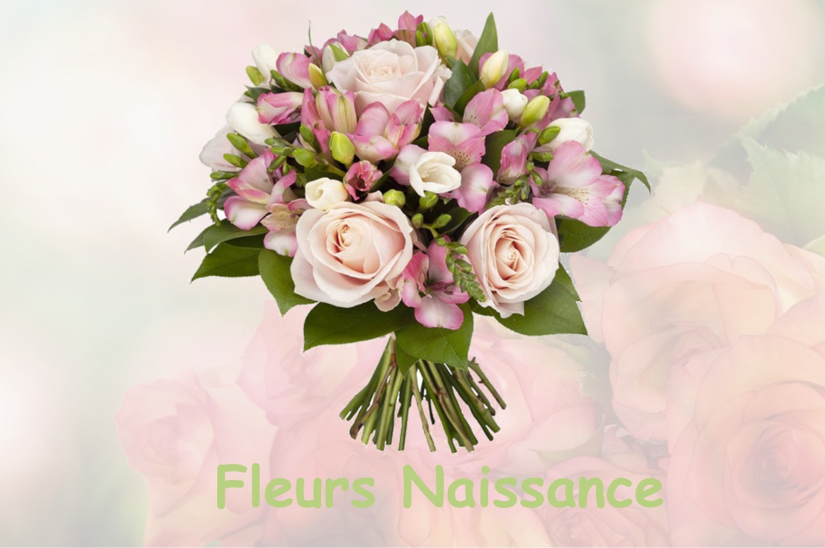 fleurs naissance NEUILLY-PLAISANCE