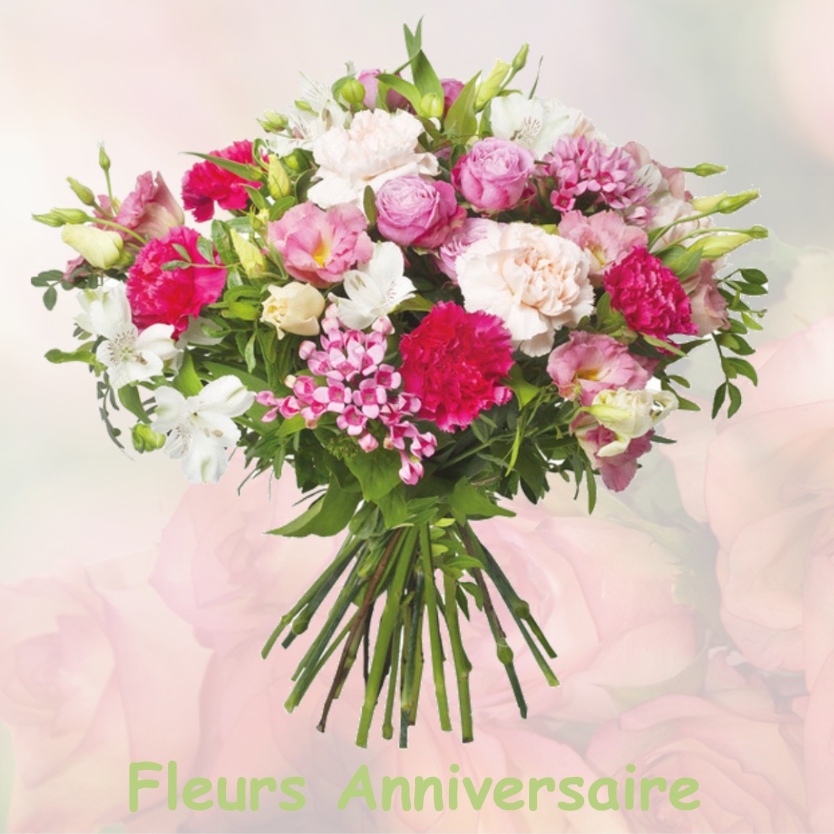 fleurs anniversaire NEUILLY-PLAISANCE